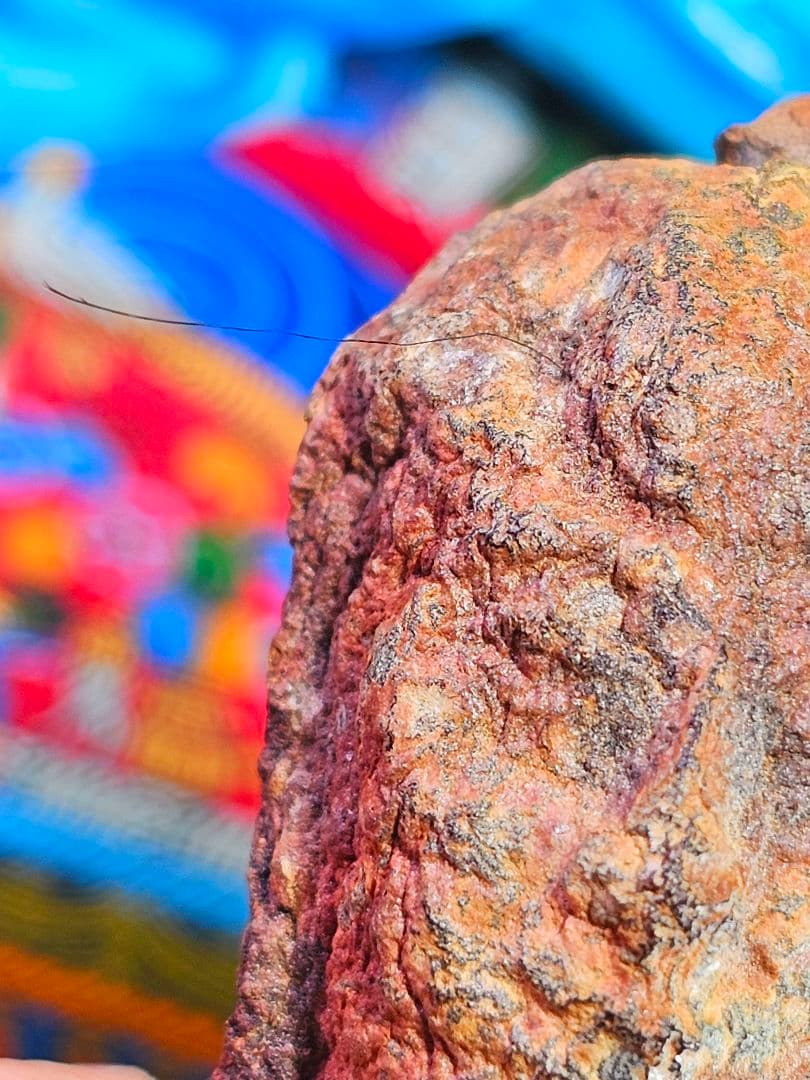 毛が生えた‼️特級呪物‼️希少‼️超特大サイズ‼️ナリーポンとマカリーポン