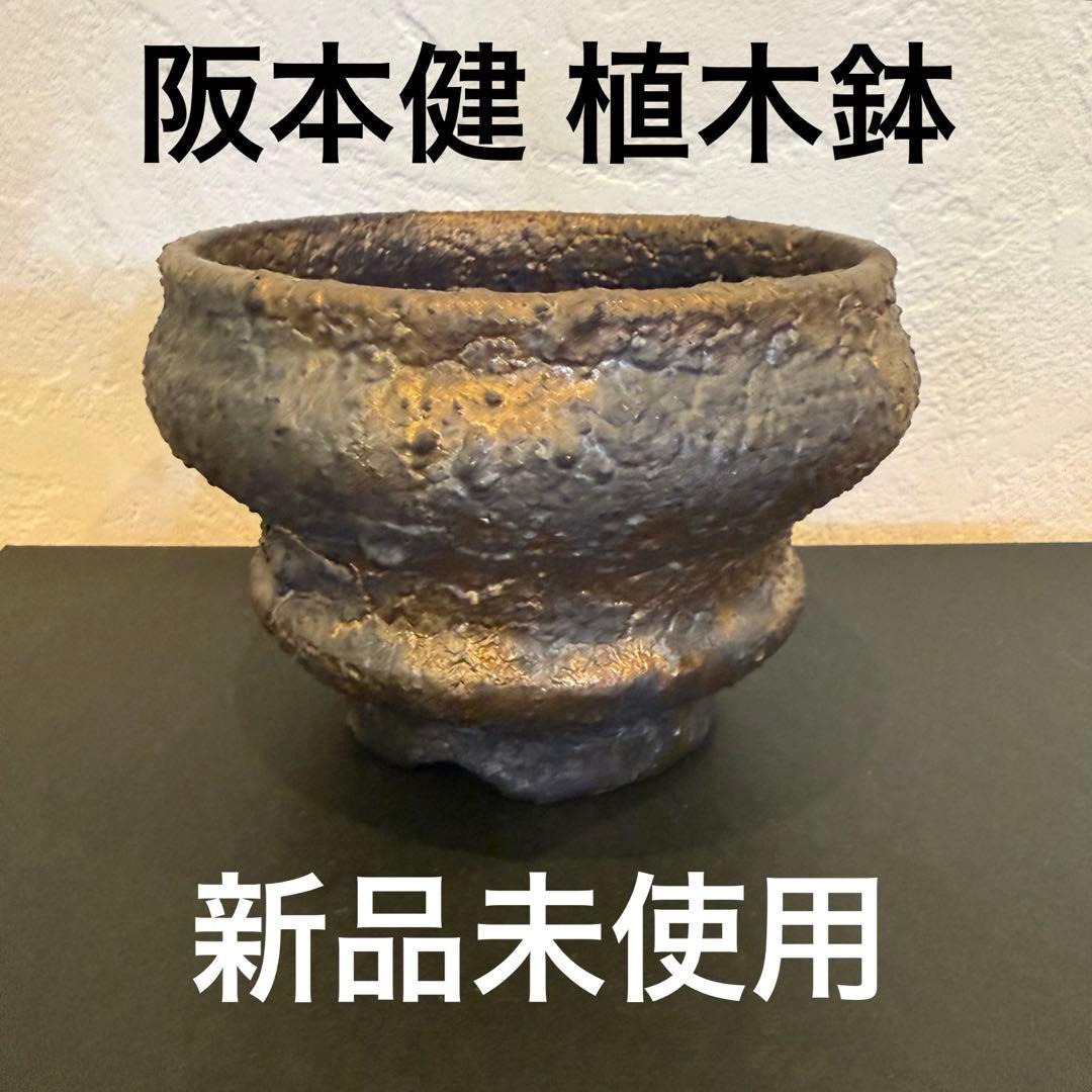 新品未使用 阪本健 作家鉢 植木鉢 黒
